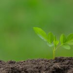 ادب، ہندوستان، یو ایس ایس آر، اردو، تاریخ، ترقی پسند، تحریکیں، سماجی، اثرات،