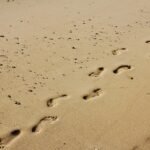 قدموں کے نشانات، ممالک، ایشیا، مسائل، ذہنیت، تاریخ، سیاست، تنازعات،